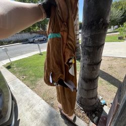 Scooby Doo Size Medium Adult