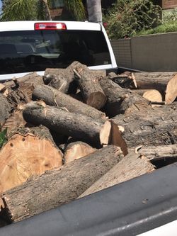Pine fire wood