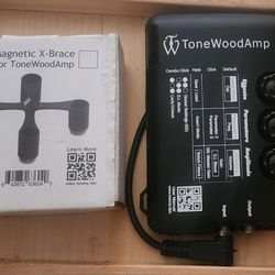 Tone Wood Amp