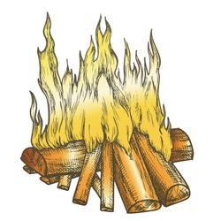 Firewood Vista/ Warmlands 