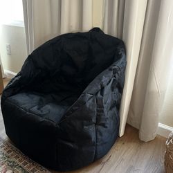 Big Joes Beanbag 