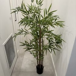 Fake Plant
