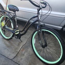 Schwin Bike