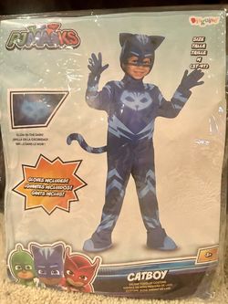 PJ Masks Catboy Halloween Costume