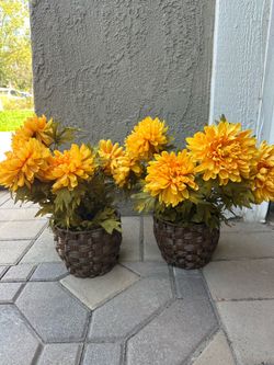 Fall faux/fake flowers