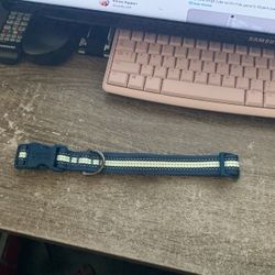 New Dog Collar