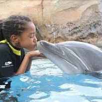 X11 SEAWORLD Single Day 