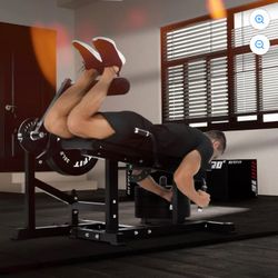 Ritfit leg extension / curl machine