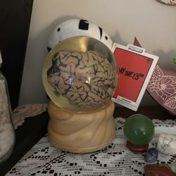 Sheep’s Brain Globe