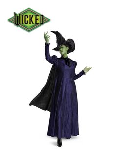 Wicked Elphaba Adult Small Costume Wicked Witch Costume Halloween
