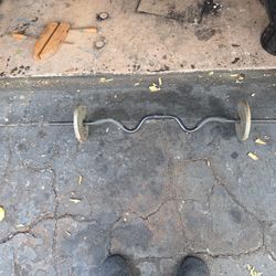 Weight Curl Bar