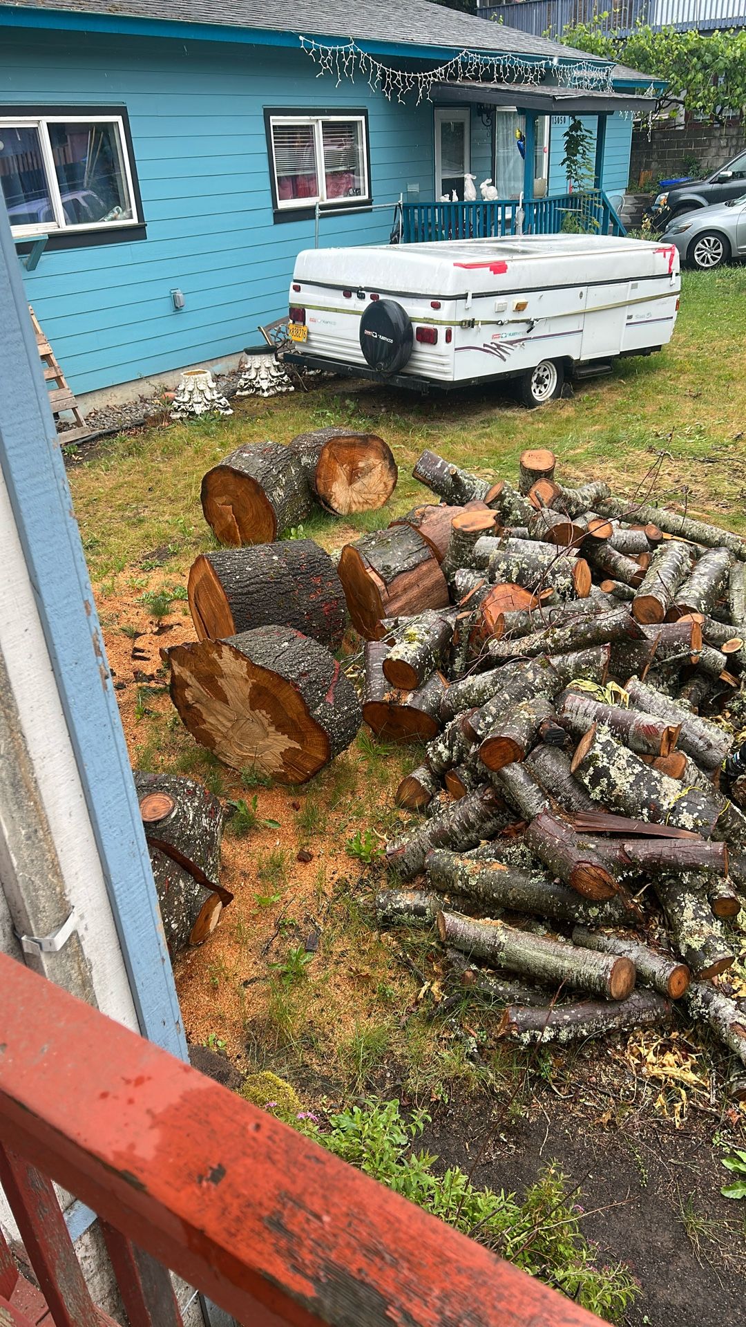 FREE Wood. U-Haul.
