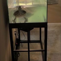 Aquarium Tank