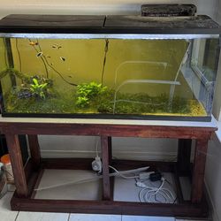 55 Gallons Aquarium With Stand For Sale