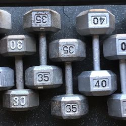 Dumbbells Weights 25 30 35 40 45 Lbs