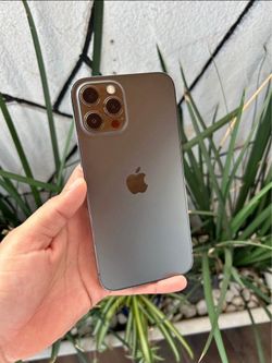 iPhone 12 Pro Max unlocked