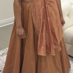 Indian Chaniya Choli Dress