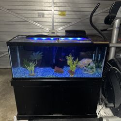 75 Gallon Aquarium 