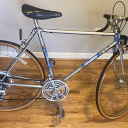 RALEIGH  GRAND PRIX  RRRRR  Frame 21.5 inches Wheels 700
