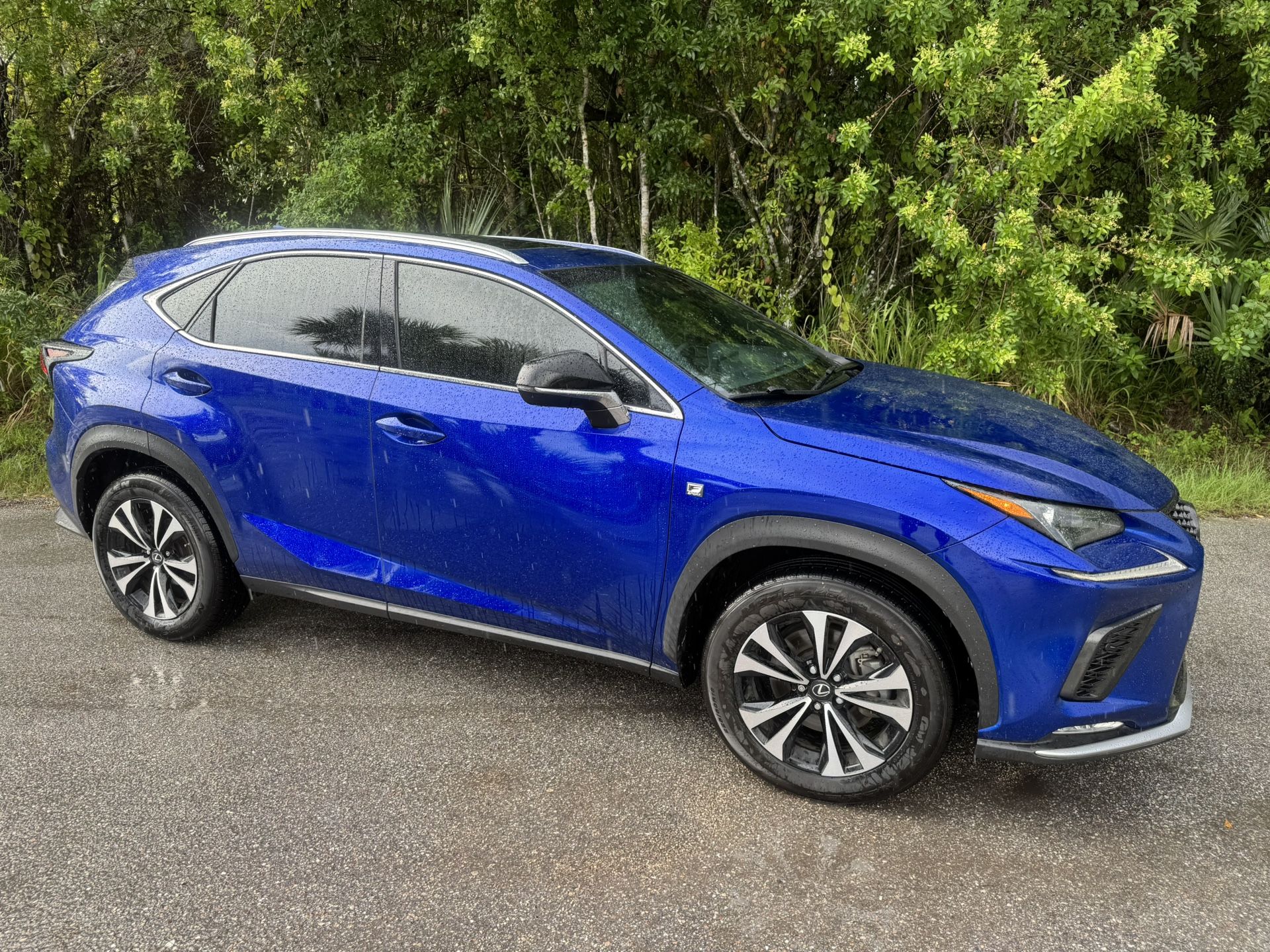 2019 Lexus NX