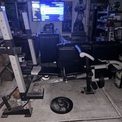 Weight Bench Golds Gym