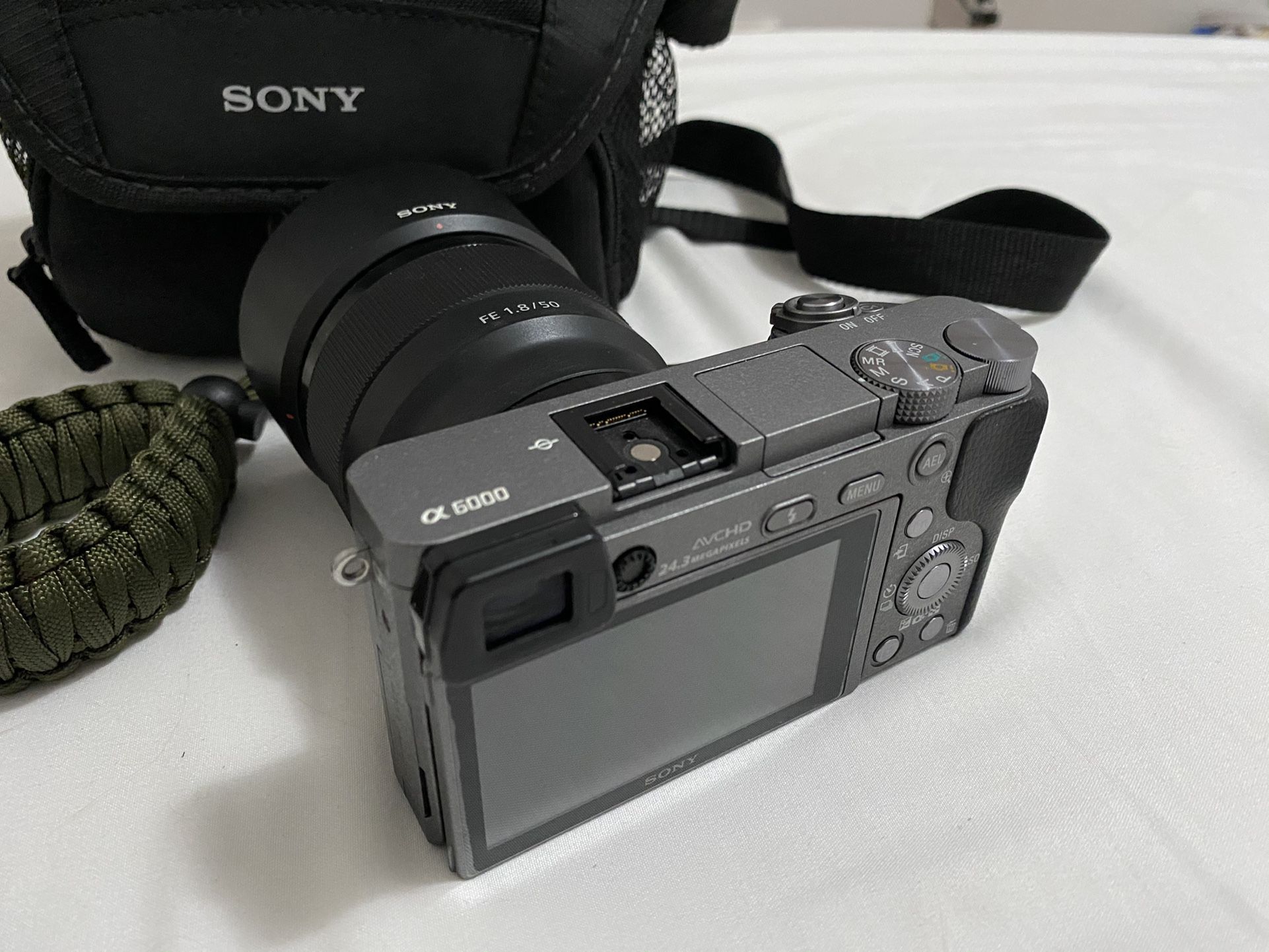 Sony A6000 + Sony 50mm F/1.8