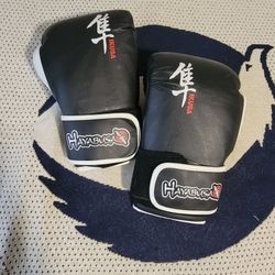 Hayabusa Ikusa Boxing Gloves