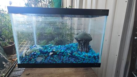 #Aquarium #Fish #Tank
