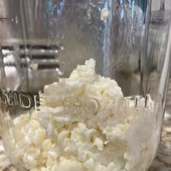 Kifer starter grains 