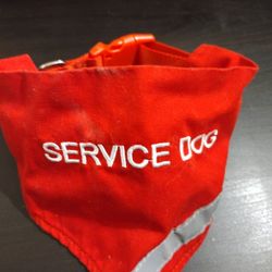 Service Dog Bandana With Collar