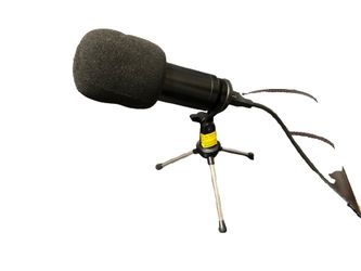 Microphone W/ Stand
