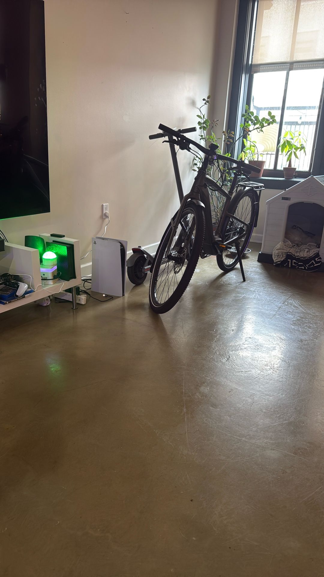 Specialized E Bike