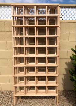 Plant trellises vines, garden, flowers, trees.