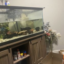 80 Gallon Fish Tank With Fish Tank Stand 
