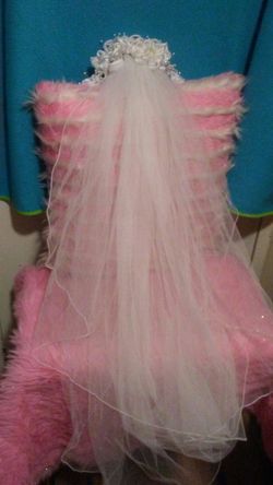 Tocado con velo / touched with veil