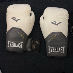 Everlast Evershield Boxing Gloves