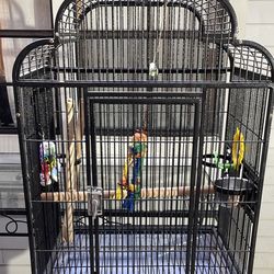 Medium Sized Open Top Bird Cage