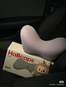 car pillow
