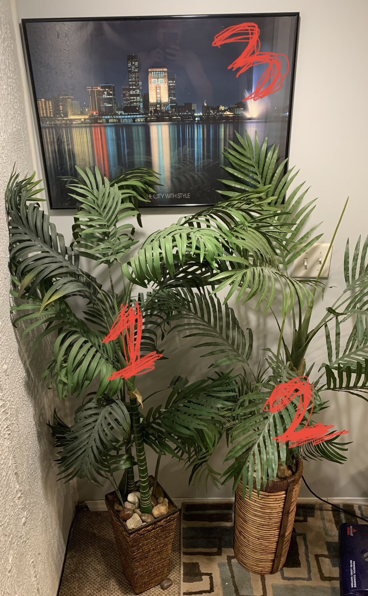 Fake Plants And Picture for Wall