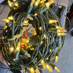 Christmas Lights 5 Dollars Each