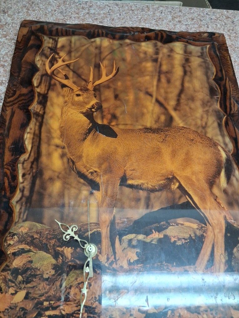 Deer mounted on wood polyurethane clock and antlers.