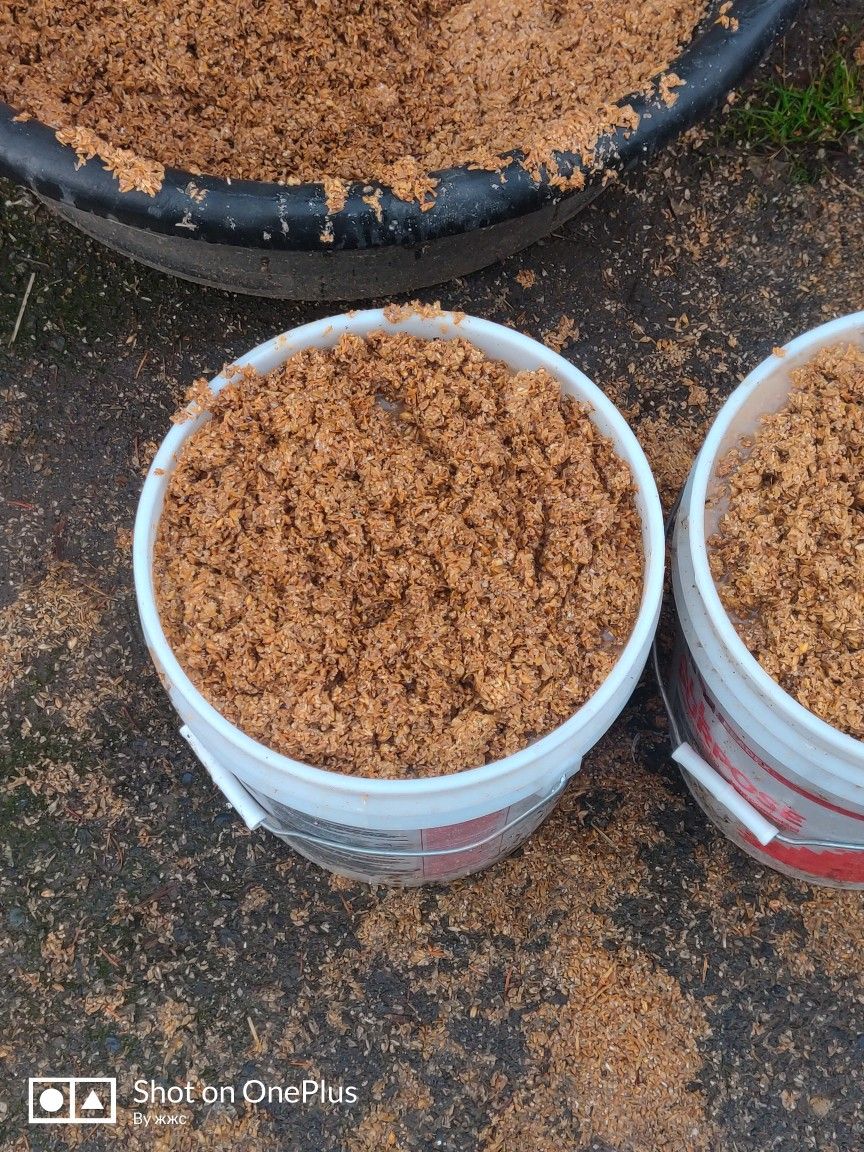 Spent Brewers Grain Animal Feed for Sale in WA OfferUp