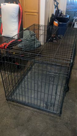 Huge dog cage