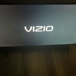 Vizio Flat Screen 
