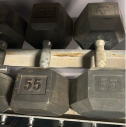 55 pounds Dumbbell