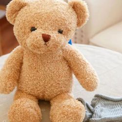 Stuffed Teddy Bear Nanny Camera with Voice Recording and Live Viewing for Child Safety