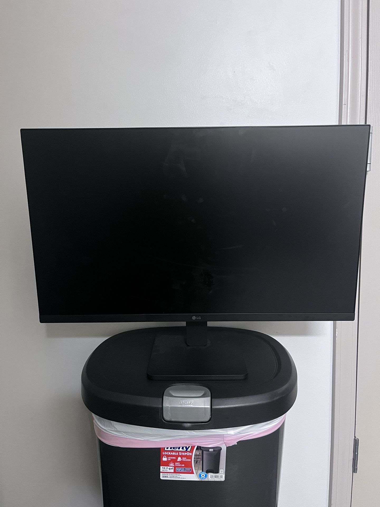 LG Monitor 28in