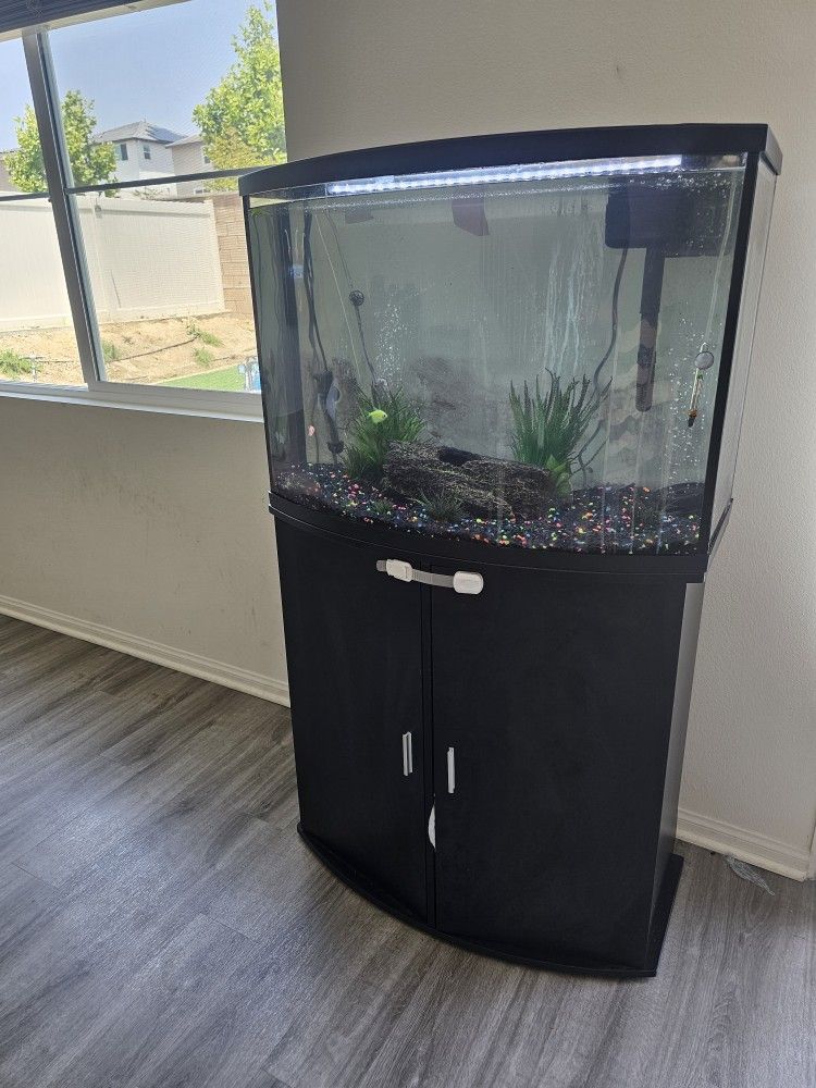 Fish Tank
