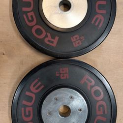 Rogue Bumper Plates