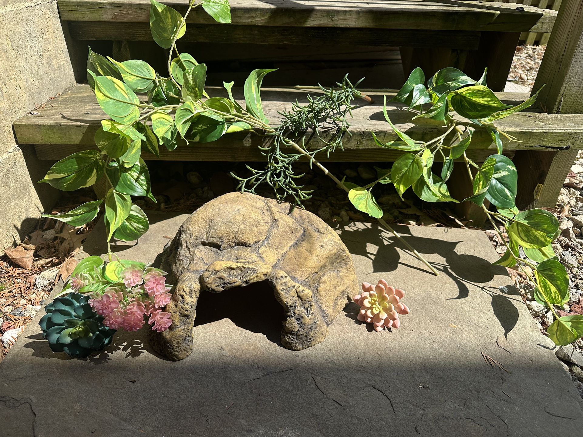 Reptile Hide And Plants